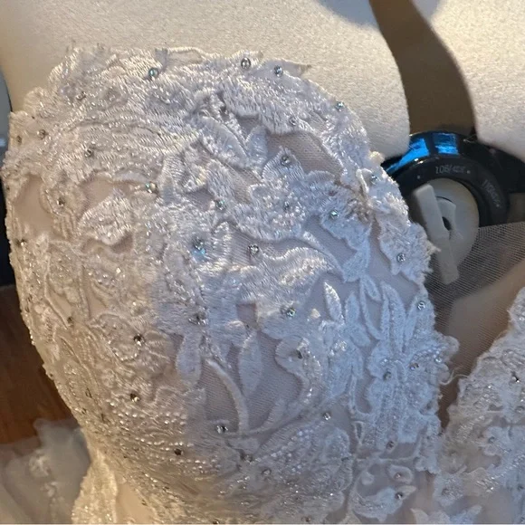 Essence of Australia (D3044)Romantic and Glamorous.
